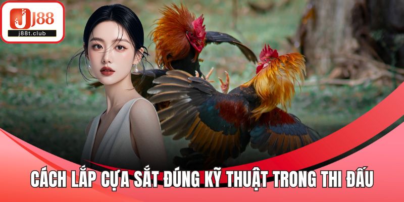 Cách lắp cựa sắt đúng kỹ thuật trong thi đấu
