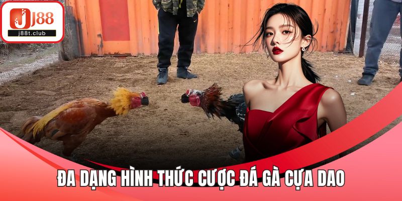 Đa dạng hình thức cược đá gà cựa dao