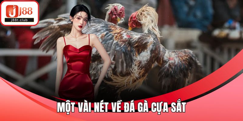 Một vài nét về đá gà cựa sắt